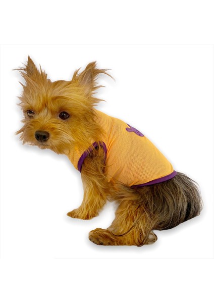 Lakers Atlet Köpek Kıyafeti - Köpek Elbisesi Xl