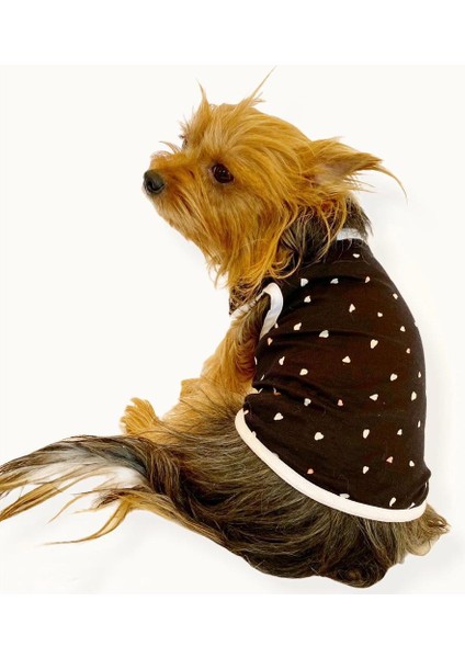 Black Hearts Atlet Köpek Kıyafeti - Köpek Elbisesi Xl
