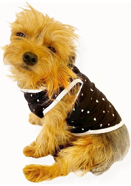 Black Hearts Atlet Köpek Kıyafeti - Köpek Elbisesi Xl