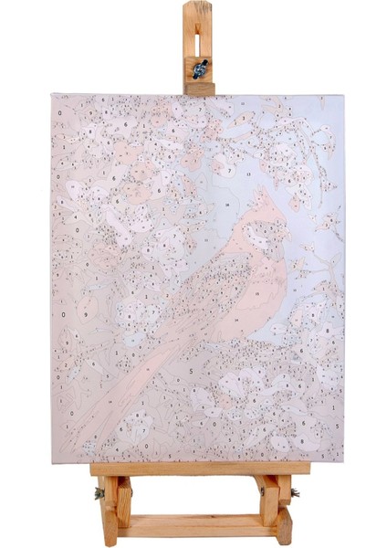 Renkli Baskılı Sayılarla Boyama Hobi Seti (Çerçeveli-Büyük Boy) 80X100 Cm: Kırmızı Kuş fiyatları