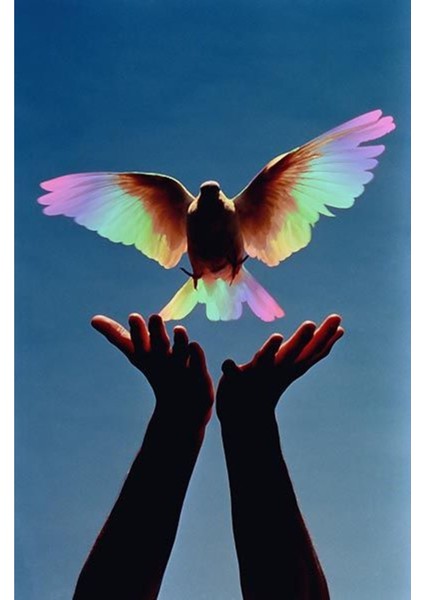 Renkli Baskılı Sayılarla Boyama Hobi Seti (Çerçeveli-Büyük Boy) 80X100 Cm: Özgürlük