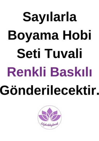 Renkli Baskılı Sayılarla Boyama Hobi Seti (Çerçeveli-Büyük Boy) 80X100 Cm: Vazodaki Çiçekler