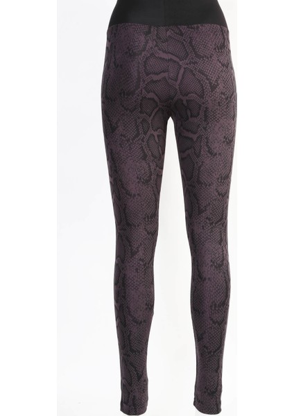 Trend Leggings Tayt TRND05