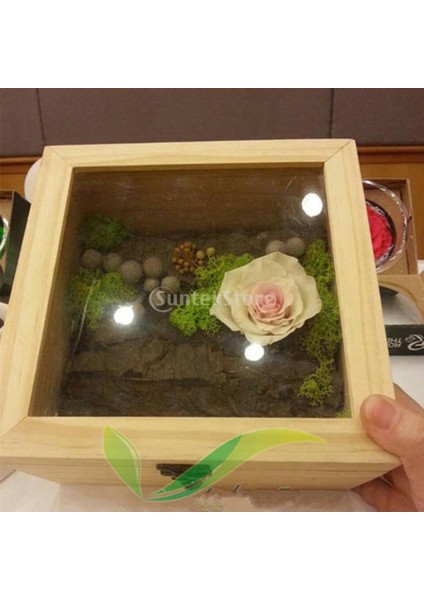 Bitmemiş Ahşap Kutu: Kilitlenebilir Ahşap Kutuları, 9X9X4.5CM (Yurt Dışından)