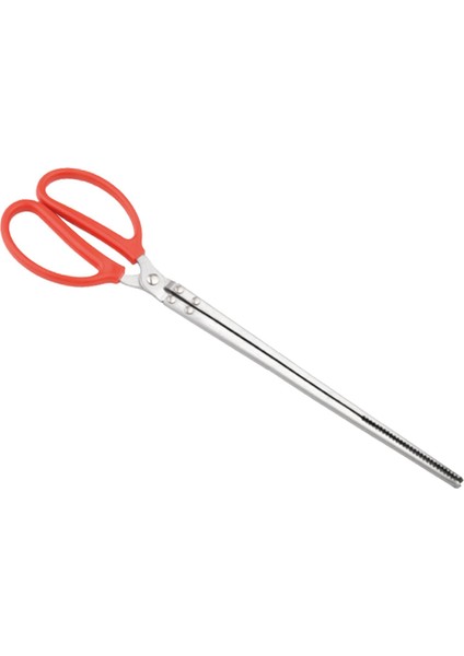 Canlı Anti Slip Clamp Için Yengeç Yangın Barbekü Bahçesi 20IN Düz Kafa (Yurt Dışından)