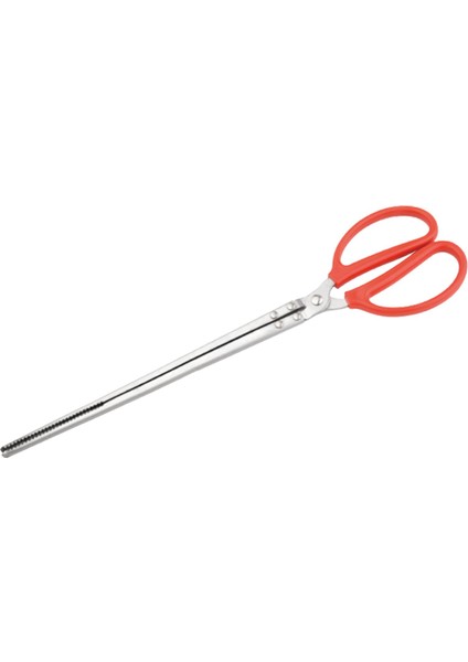 Canlı Anti Slip Clamp Için Yengeç Yangın Barbekü Bahçesi 20IN Düz Kafa (Yurt Dışından)
