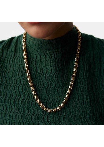 Kalın Palmiye Zincir fırsatları