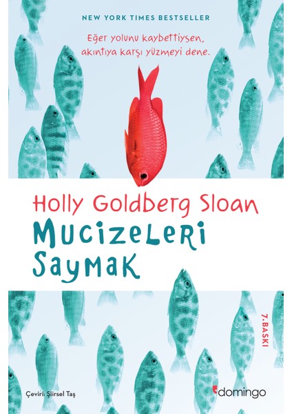 Mucizeleri Saymak - Holly Goldberg Sloan