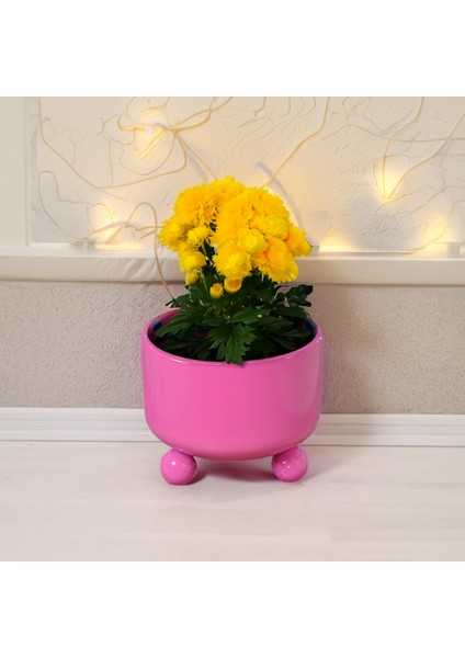 Metal Çiçek Bitki Saksısı Dekoratif Saksı Geri Dönüşümden Imal Saksı