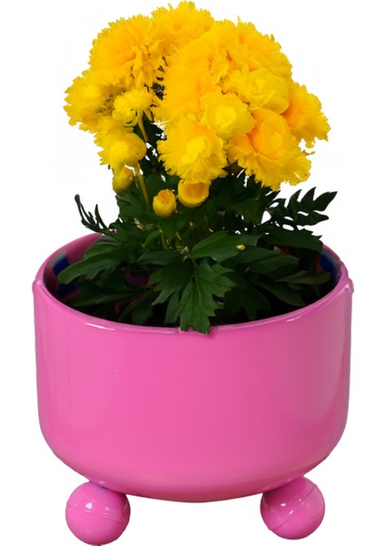 Metal Çiçek Bitki Saksısı Dekoratif Saksı Geri Dönüşümden Imal Saksı fırsatları