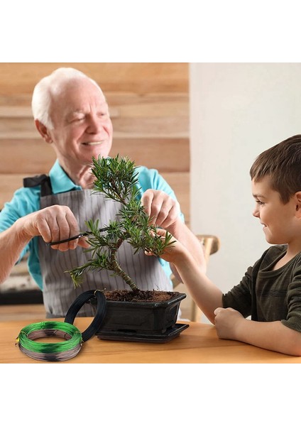 3 Rulo Bonsai Telleri, Eloksallı Alüminyum Bonsai Eğitim Teli 1.0mm Toplam 492 Ayak Bitki Için Kapalı Ağaç Eğitim Teli (Yurt Dışından) fırsatları