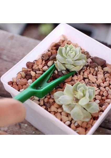 6 Adet Dayanıklı Bahçe Succulents Bahçe Seti Ayarlanabilir Ekici Dikim Perforatör Kiti (Yurt Dışından) indirimleri