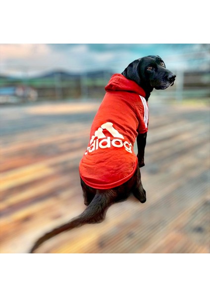 Adidog Red Hoodie Kapşonlu Sweatshirt Orta ve Büyük Köpekler Için