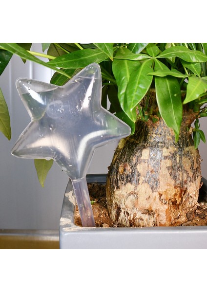 Su Houseplant Bitki Pot Yıldızı Otomatik Sulama Cihazı Bahçe Aletleri Podazz (Yurt Dışından) fiyatları