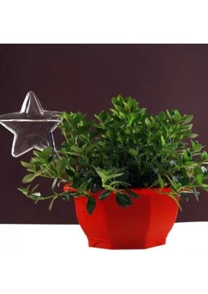 Su Houseplant Bitki Pot Yıldızı Otomatik Sulama Cihazı Bahçe Aletleri Podazz (Yurt Dışından) fırsatları
