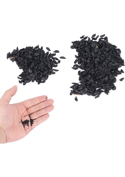 Allium Giganteum Tohumları, 20 Gün Çiçeklenme Dönemi Allium Tohumları Yeşillendirme Projeleri Için Ev Mobilyaları Için Çok Sezonlu Çiçeklenme (Yurt Dışından) fırsatları