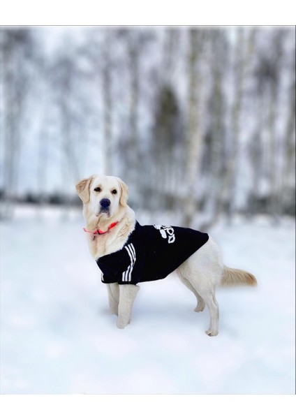Adidog Black Hoodie Kapşonlu Sweatshirt, Orta ve Büyük Irklar Için Köpek Kıyafeti,
