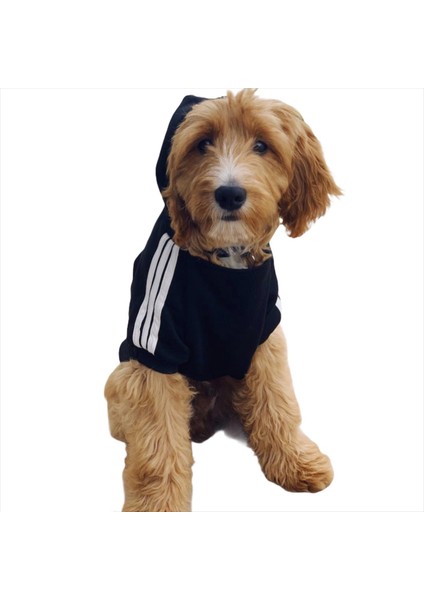 Adidog Black Hoodie Kapşonlu Sweatshirt, Orta ve Büyük Irklar Için Köpek Kıyafeti, fiyatları