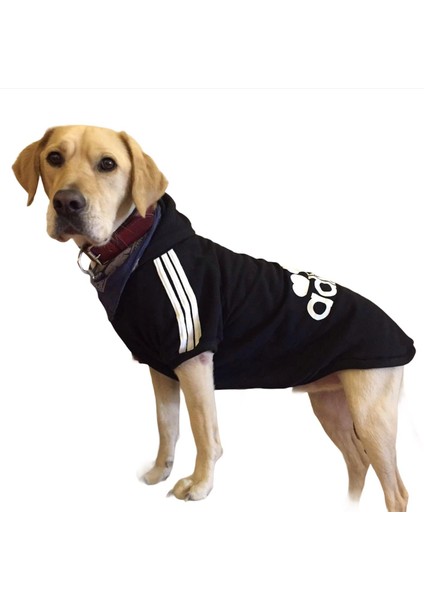 Adidog Black Hoodie Kapşonlu Sweatshirt, Orta ve Büyük Irklar Için Köpek Kıyafeti, indirimleri