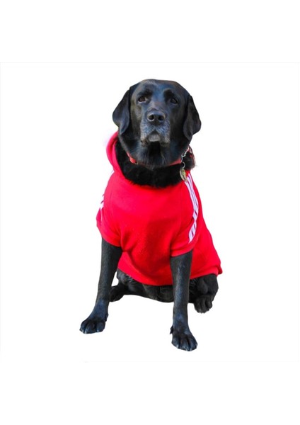 Kırmızı Adidog Kapşonlu Sweatshirt, Orta ve Büyük Irklar Için Köpek Kıyafeti, fiyatları