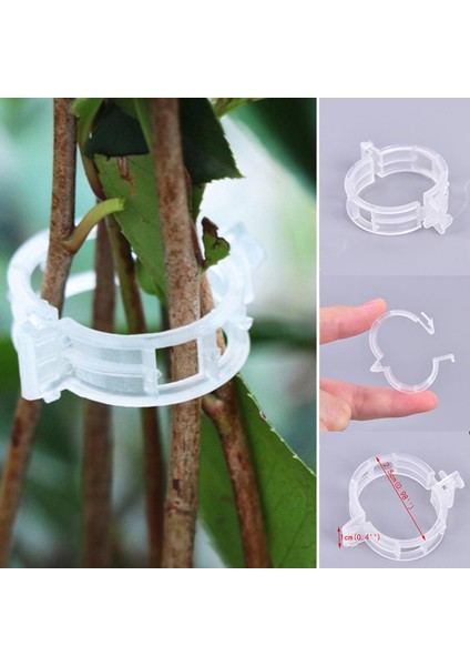 50/100 Adet Yeniden Kullanılabilir Plastik Destek Klipleri Kelepçeler Asılı Asma Sebze Karşılaşması (Yurt Dışından)