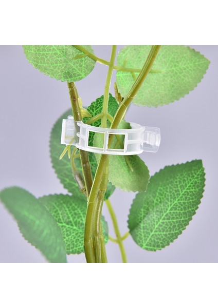 50/100 Adet Yeniden Kullanılabilir Plastik Destek Klipleri Kelepçeler Asılı Asma Sebze Karşılaşması (Yurt Dışından) indirimleri