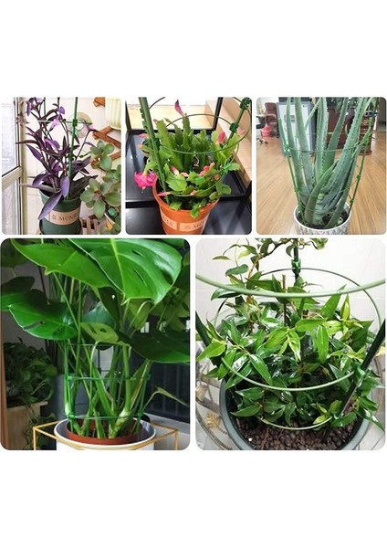 Küçük Tırmanma Bitki Kafesi-4 x Bitki Destek Kafesi 10 x Bitki Klipsi (Ayarlanabilir)-Yeşil (Yurt Dışından) fırsatları