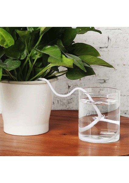 Kılcal Fitil Kordon Yıkanabilir Saksı Menekşe Kendiliğinden Sulanan Halat (Yurt Dışından) indirimleri