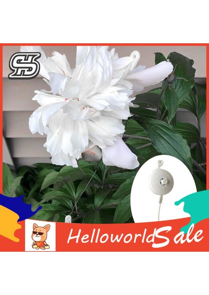 Helloworld Yoyo Tesisi Desteği Yüksek Dayanıklılık Geri Çekilebilir Kanca Tesisi Yoyo (Yurt Dışından) fırsatları