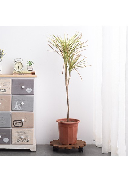 Ekici Tutma Tepsisi Dayanıklı Sağlam Yuvarlak Kenarlı Saksı Tutma Standı (Yurt Dışından) modelleri