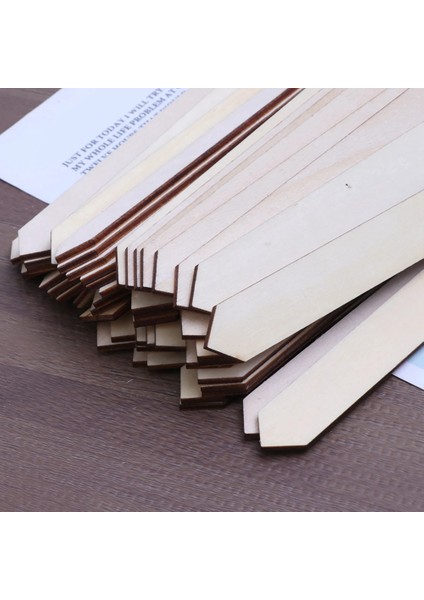 Avery LABELS-100 * Ahşap Bahçe Etiketleri-Ahşap Rengi (Yurt Dışından) fiyatları