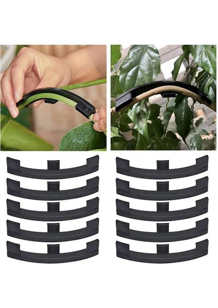 10PCS Meyve Ağacı Dalı Bender Bonsai Şekilli Dal Klip Bükme Aracı (Yurt Dışından)