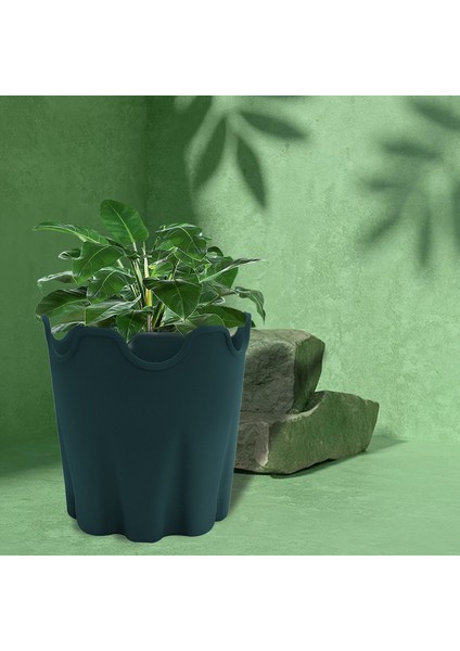 Çiçek Ekici Geniş Uygulama Modern Ofis Etli Saksı (Yurt Dışından) modelleri