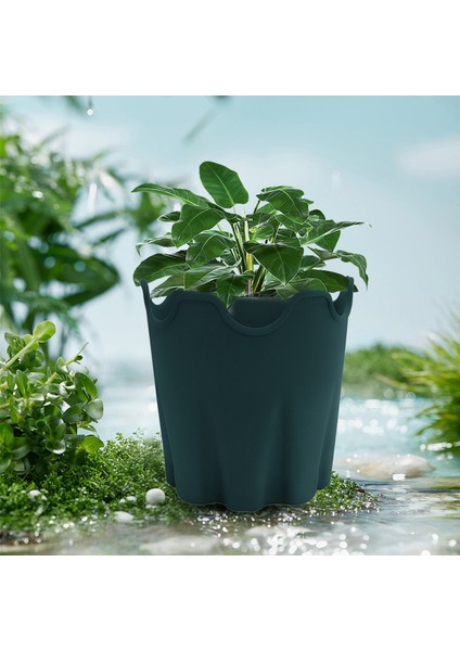 Çiçek Ekici Geniş Uygulama Modern Ofis Etli Saksı (Yurt Dışından) fırsatları