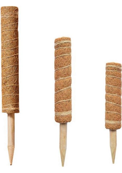 3pcs Yosun Direği Bitkiler Için Uygundur Kakao Direği Kapalı Saksı Bitkilerine ve Sürünen Bitkilere Tırmanmak Için Kullanılır (Yurt Dışından)