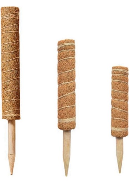 3pcs Yosun Direği Bitkiler Için Uygundur Kakao Direği Kapalı Saksı Bitkilerine ve Sürünen Bitkilere Tırmanmak Için Kullanılır (Yurt Dışından) fiyatları