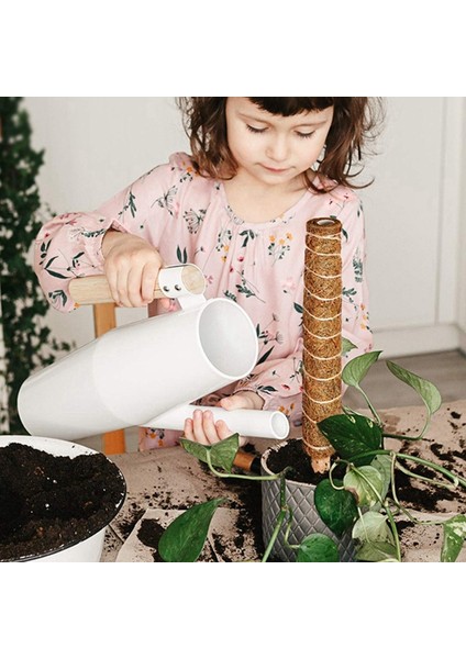 3pcs Yosun Direği Bitkiler Için Uygundur Kakao Direği Kapalı Saksı Bitkilerine ve Sürünen Bitkilere Tırmanmak Için Kullanılır (Yurt Dışından) modelleri