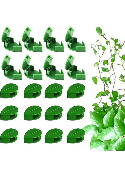 Ev Dekorasyonu Kablo Düzenleyici Için Bitki Tırmanma Duvarı Kelepçesi Kendinden (Yurt Dışından) modelleri