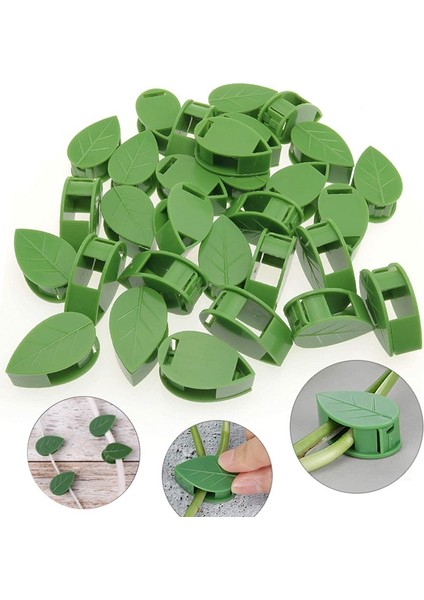 Ev Dekorasyonu Kablo Düzenleyici Için Bitki Tırmanma Duvarı Kelepçesi Kendinden (Yurt Dışından) fırsatları