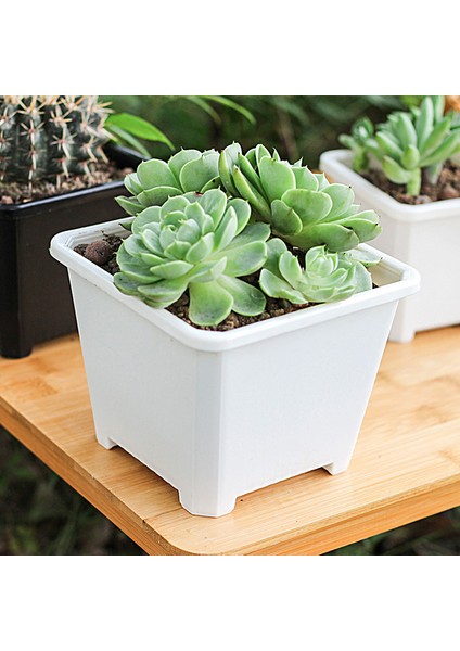 Yeşil Ev Bitki Tutucu Kolay Dikim Bitki Büyüme Yayılma Çiçek Tutucu (Yurt Dışından) fiyatları