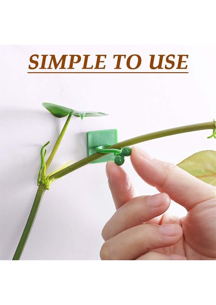 120 Parça Asma Bitki Duvar Klipsi Bitki Asma Klipsi Duvar Armatür Klipsi (Yurt Dışından) modelleri