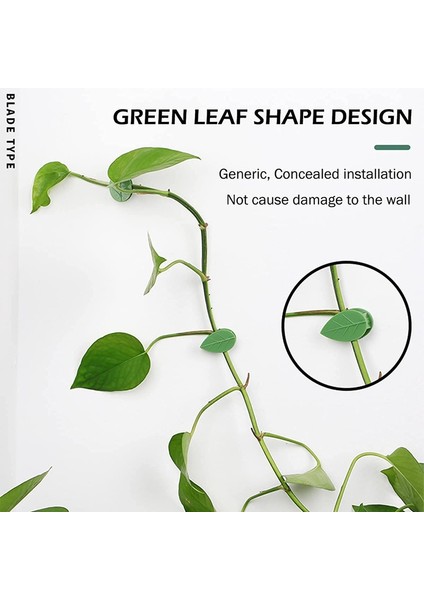 120 Parça Asma Bitki Duvar Klipsi Bitki Asma Klipsi Duvar Armatür Klipsi (Yurt Dışından) fırsatları