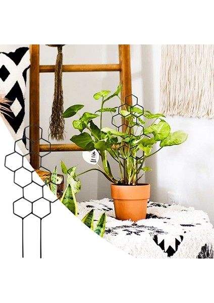 Bitki Rafı Paslanmaz, Keskin Kenar Yok Çiçek Bitki Tırmanma Kafes Rafı (Yurt Dışından) indirimleri