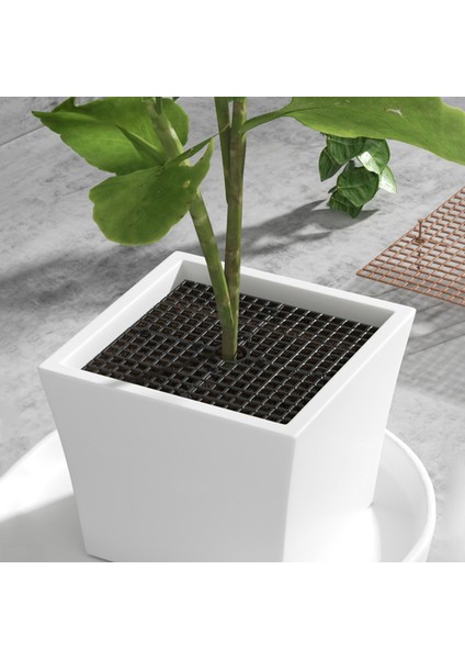 Saksı Toprak Koruması Kaymaz Sabitleme Bitki Saksı Izgarası Saksı Kapağı (Yurt Dışından)
