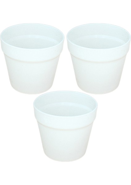 Dikim Kutusu Anti-Deforme Sebze Dikim Kutusu (Yurt Dışından) fırsatları