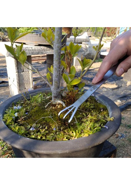 2 In 1 Paslanmaz Çelik Bonsai Bahçe Aletleri Kök Tırmık Spatula Cımbız Bahçe Podazz (Yurt Dışından) fırsatları