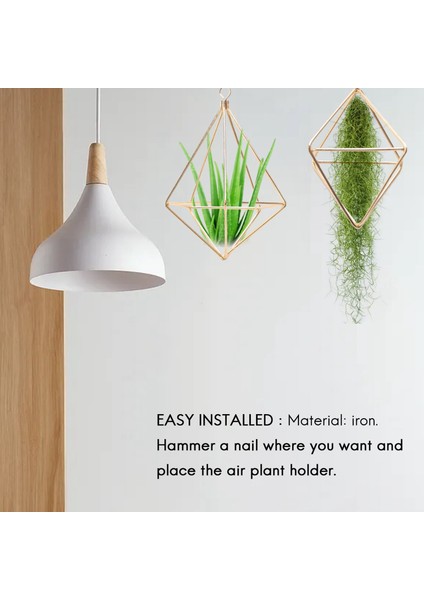 5 Paket Hava Santrali Tutucu Mini Metal Masa Üstü Himmeli Dekor Tillandsia (Yurt Dışından) fırsatları
