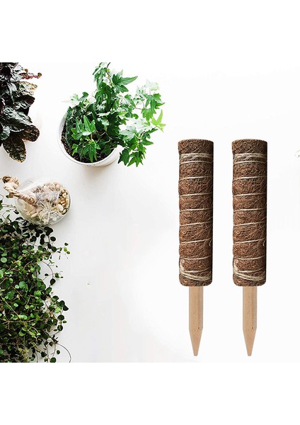 Bitki Tırmanma Hindistan Cevizi Totem Direği Güvenli Bahçecilik Hindistan Cevizi Palmiye Sopası Tırmanma Podazz Için (Yurt Dışından) fiyatları