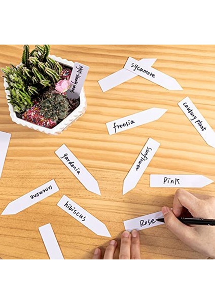 Plastik Bahçe Tesisi Etiketleri Su Geçirmez Houseplants Tohumlar Için Etiketler Saksı Kapalı Işaretleyiciler Herb Bahçe Depolama Için Açık (Yurt Dışından) modelleri