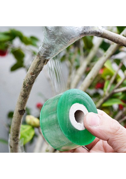 100 M/rulo Pvc Aşılama Bandı Bahçe Aletleri Meyve Ağacı Budama Makası Engraft Şube Bahçe Bağlama Kemer Kravat Bandı (Yurt Dışından)